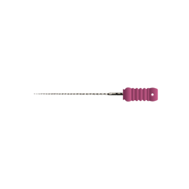 EndoArt C Files