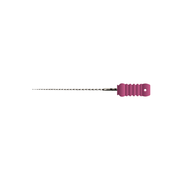EndoArt C Files